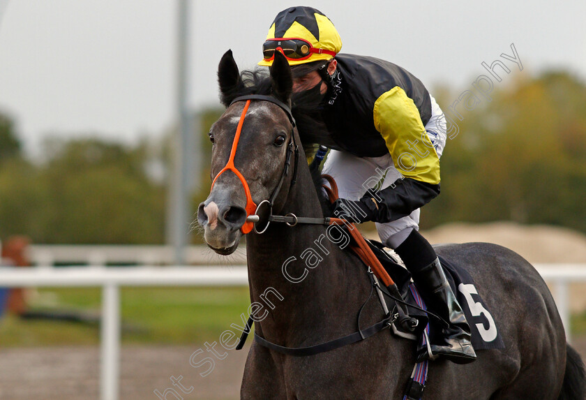 Lightning-War-0002 
 LIGHTNING WAR (Dane O'Neill)
Chelmsford 15 Oct 2020 - Pic Steven Cargill / Racingfotos.com