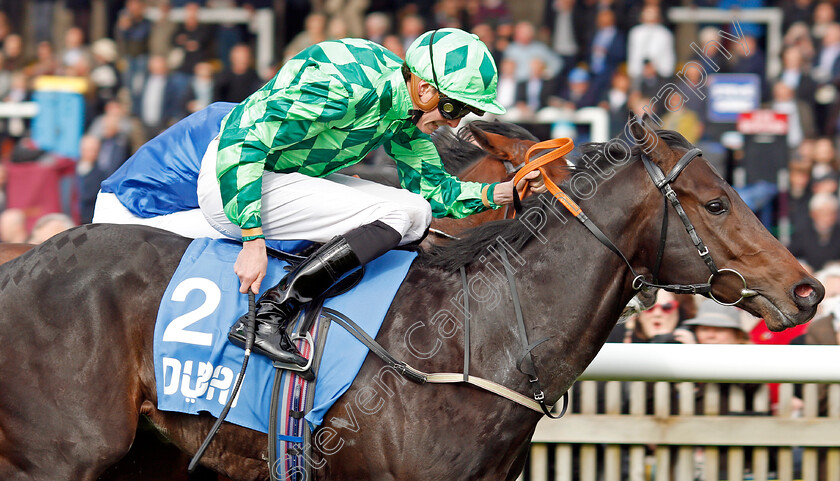 Abel-Handy-0005 
 ABEL HANDY (James Doyle) wins The Newmarket Academy Godolphin Beacon Project Cornwallis Stakes Newmarket 13 Oct 2017 - Pic Steven Cargill / Racingfotos.com