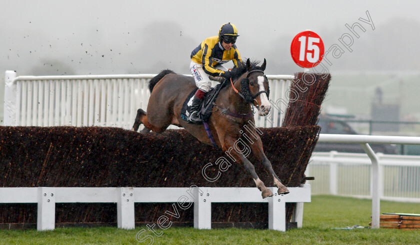 Three-Faces-West-0001 
 THREE FACES WEST (Richard Johnson) Cheltenham 18 Nov 2017 - Pic Steven Cargill / Racingfotos.com