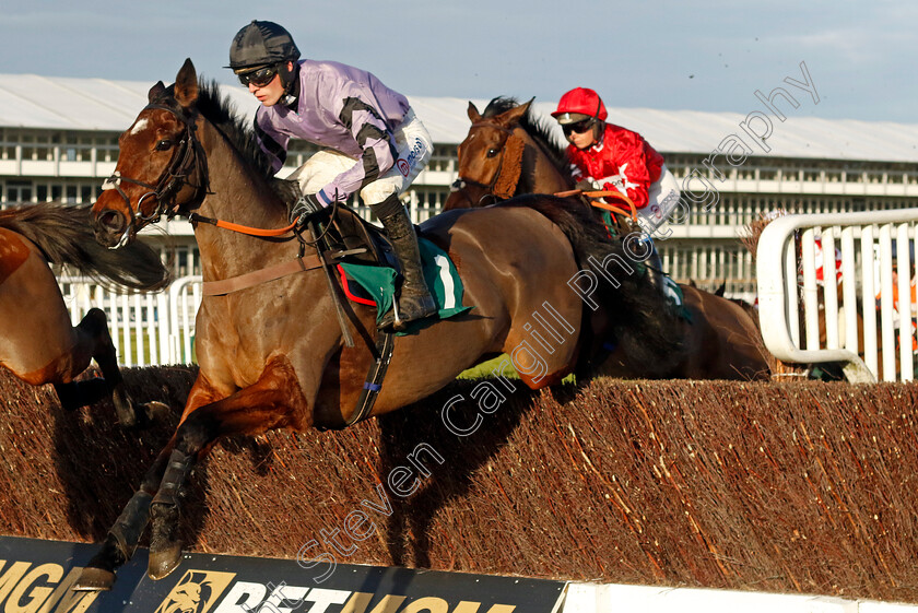 Stage-Star-0002 
 STAGE STAR (Harry Cobden)
Cheltenham 14 Dec 2024 - Pic Steven Cargill / Racingfotos.com