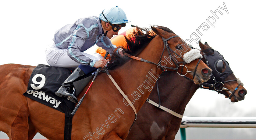 Attain-0005 
 ATTAIN (nearside, Pierre-Louis Jamin) beats WIDNES (farside) in The Betway Casino Handicap Lingfield 3 Mar 2018 - Pic Steven Cargill / Racingfotos.com