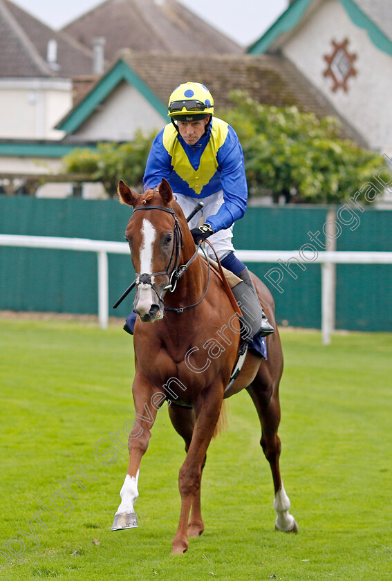 Plage-De-Havre-0002 
 PLAGE DE HAVRE (Jim Crowley)
Yarmouth 20 Sep 2023 - Pic Steven Cargill / Racingfotos.com