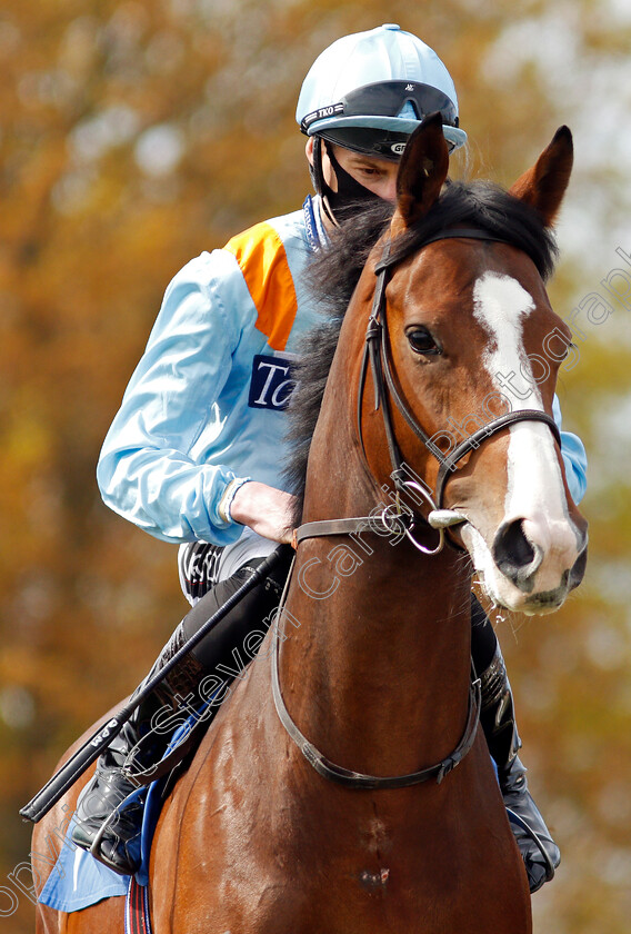 Cosmic-George-0003 
 COSMIC GEORGE (Daniel Muscutt)
Leicester 24 Apr 2021 - Pic Steven Cargill / Racingfotos.com