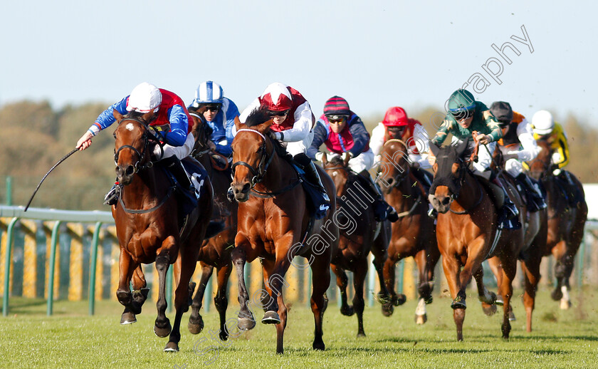 Mehdaayih-0002 
 MEHDAAYIH (left, Robert Havlin) beats FANNY LOGAN (centre) in The British Stallion Studs EBF Fillies Novice Stakes Div2
Yarmouth 23 Oct 2018 - pic Steven Cargill / Racingfotos.com