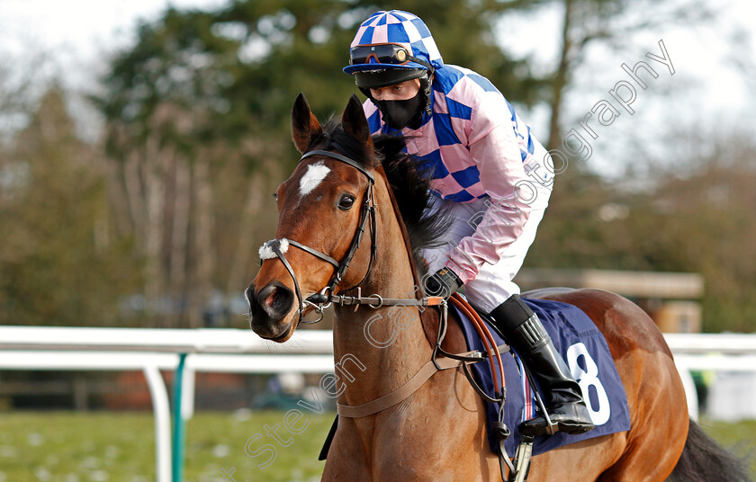 Eltham-Palace-0001 
 ELTHAM PALACE (Liam Keniry)
Lingfield 13 Feb 2021 - Pic Steven Cargill / Racingfotos.com