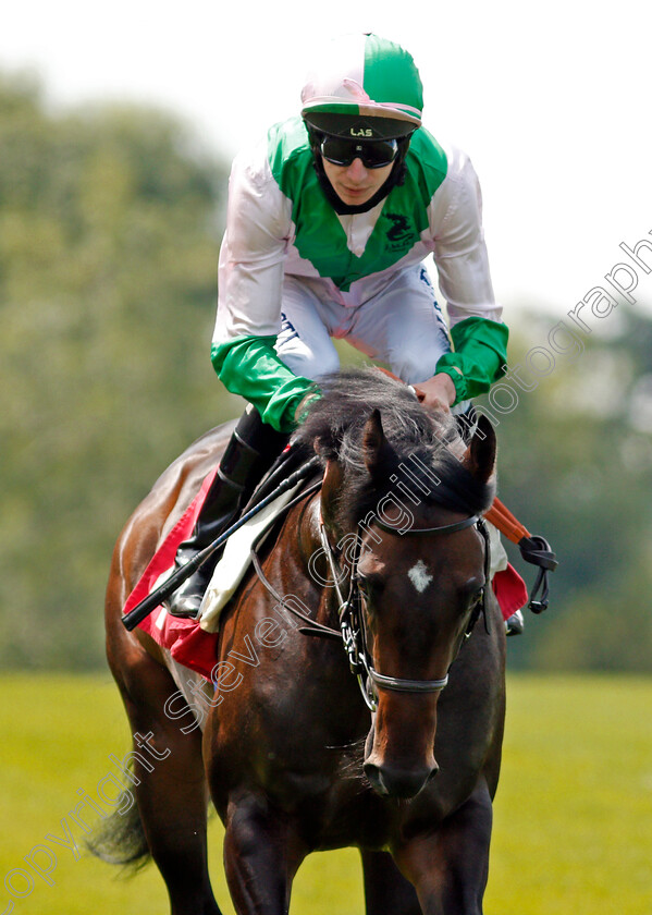 Little-Earl-0001 
 LITTLE EARL (Luke Morris)
Sandown 2 Jul 2021 - Pic Steven Cargill / Racingfotos.com