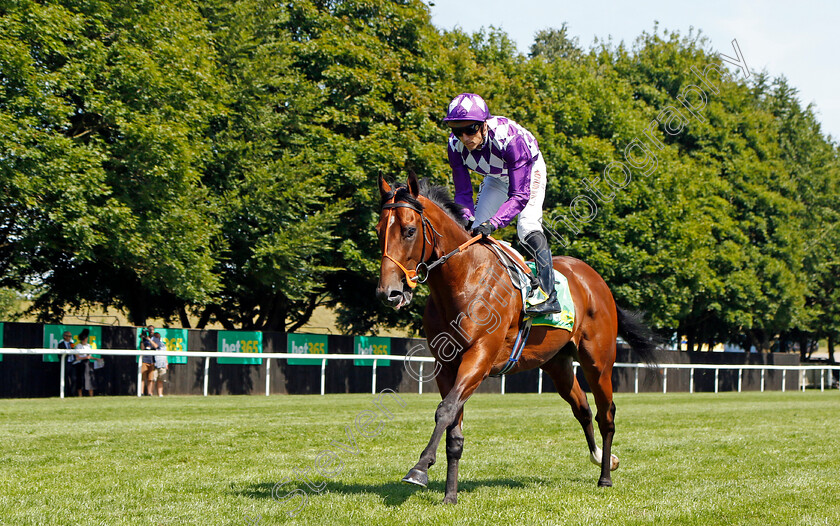 Dark-Thirty-0001 
 DARK THIRTY (Christophe Soumillon)
Newmarket 9 Jul 2022 - Pic Steven Cargill / Racingfotos.com