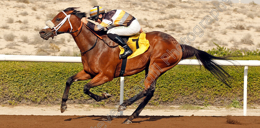 Shamaal-Nibras-0007 
 SHAMAAL NIBRAS (Pat Dobbs) wins The Jebel Ali Mile Jebel Ali 26 Jan 2018 - Pic Steven Cargill / Racingfotos.com