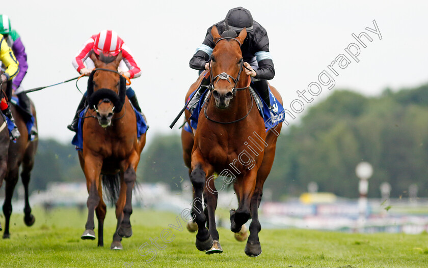 Kerdos-0003 
 KERDOS (Richard Kingscote) wins The Betfred Temple Stakes
Haydock 25 May 2024 - Pic Steven Cargill / Racingfotos.com