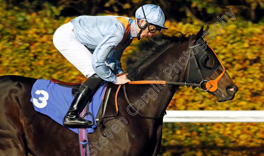 Aye-Fred-0001 
 AYE FRED (Thomas Greatrex)
Kempton 15 Nov 2023 - Pic Steven Cargill / Racingfotos.com