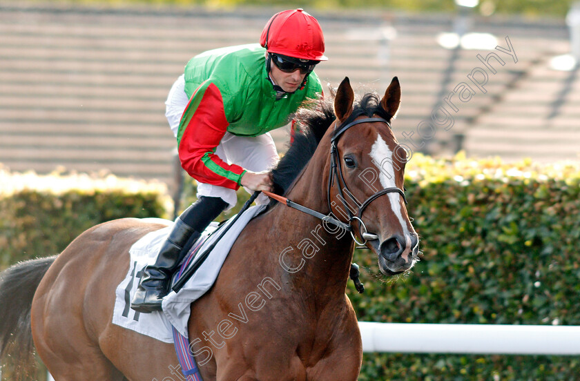 Kasuku-0001 
 KASUKU (Jack Mitchell)
Kempton 7 Aug 2019 - Pic Steven Cargill / Racingfotos.com