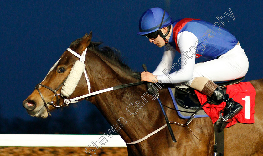 Maid-Millie-0004 
 MAID MILLIE (Stefano Cherchi) wins The Racing TV Apprentice Handicap Chase
Kempton 19 Feb 2020 - Pic Steven Cargill / Racingfotos.com