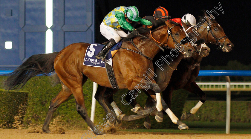 Kimbear-0003 
 KIMBEAR (centre, Pat Dobbs) beats SECRET AMBITION (left) and NORTH AMERICA (right) in The Al Maktoum Challenge (Round 1)
Meydan 9 Jan 2020 - Pic Steven Cargill / Racingfotos.com