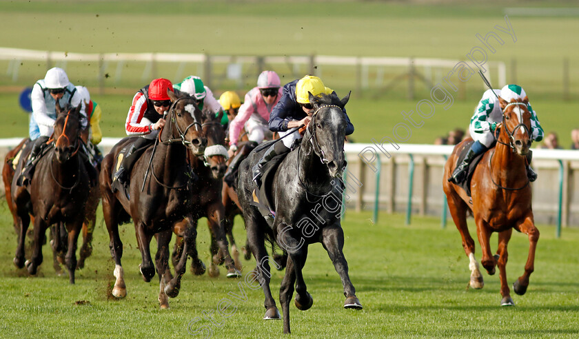 Bodorgan-0005 
 BODORGAN (Ryan Moore) wins The British Stallion Studs EBF Novice Stakes Div2
Newmarket 28 Oct 2022 - Pic Steven Cargill / Racingfotos.com