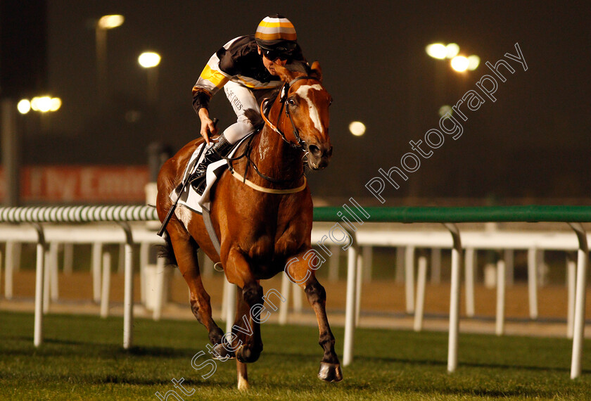 Los-Barbados-0007 
 LOS BARBADOS (Adrie de Vries) wins The EGA Al Taweelah Trophy Handicap Meydan 25 Jan 2018 - Pic Steven Cargill / Racingfotos.com