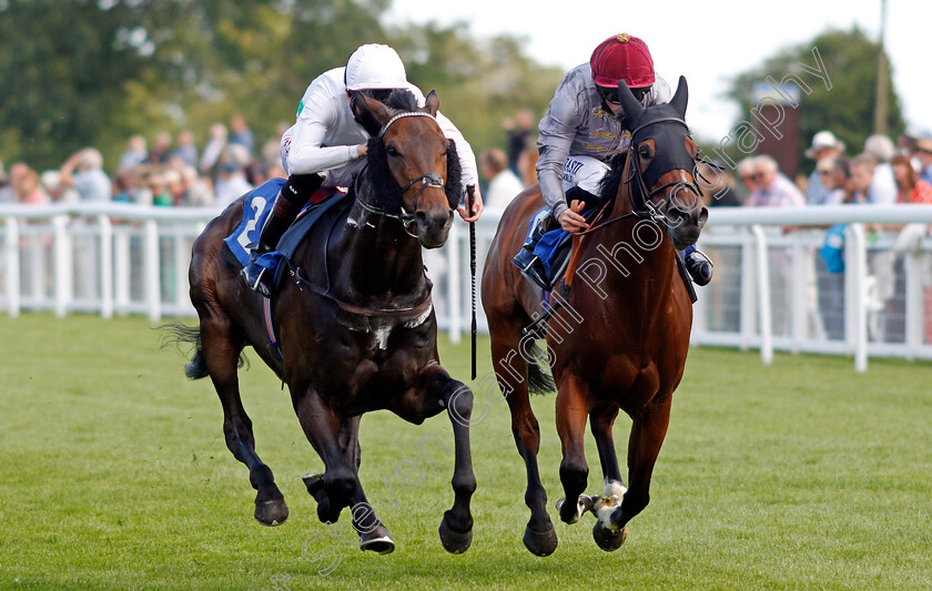 Sevenal-0005 
 SEVENAL (left, Robert Havlin) beats ZWELELA (right) in The Michael Brunton Memorial Pembroke Handicap
Salisbury 11 Aug 2021 - Pic Steven Cargill / Racingfotos.com