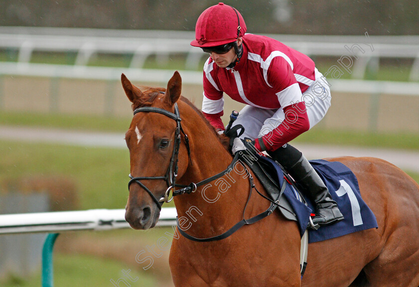 Will-To-Win-0001 
 WILL TO WIN (Jack Mitchell)
Lingfield 4 Mar 2020 - Pic Steven Cargill / Racingfotos.com