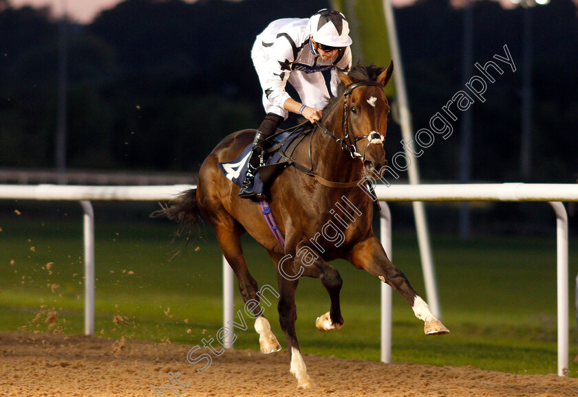 Thunderbolt-Rocks-0007 
 THUNDERBOLT ROCKS (James Doyle) wins The Hellermanntyton Identification Handicap
Wolverhampton 5 Sep 2018 - Pic Steven Cargill / Racingfotos.com