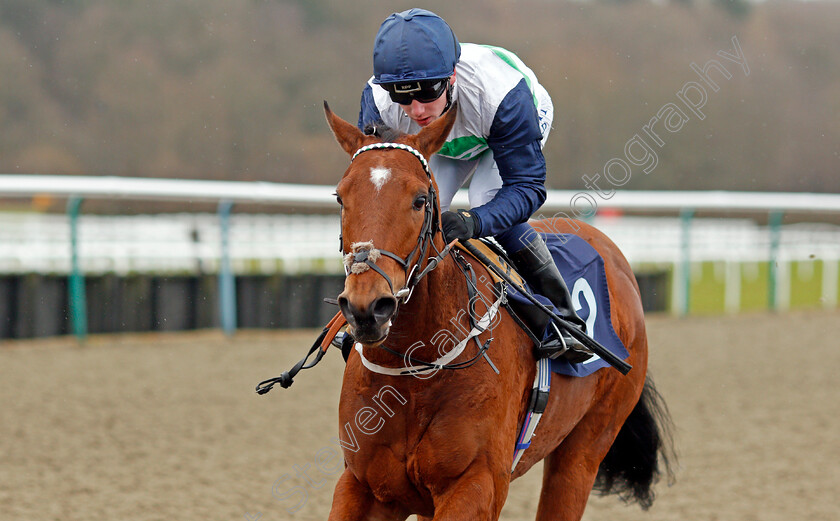 Carouse-0004 
 CAROUSE (Oisin Murphy) wins The 32Red Casino Claiming Stakes Lingfield 14 Feb 2018 - Pic Steven Cargill / Racingfotos.com