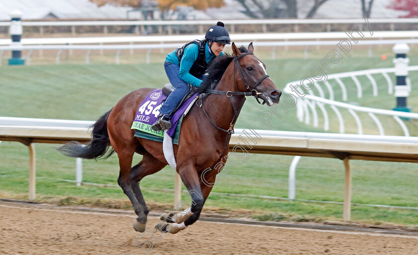 Gear-Jockey-0001 
 GEAR JOCKEY training for the Breeders' Cup Mile
Keeneland USA 2 Nov 2022 - Pic Steven Cargill / Racingfotos.com