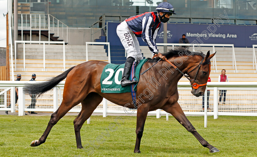 Happy-Romance-0001 
 HAPPY ROMANCE (Sean Levey) winner of The Weatherbys Super Sprint
Newbury 19 Jul 2020 - Pic Steven Cargill / Racingfotos.com