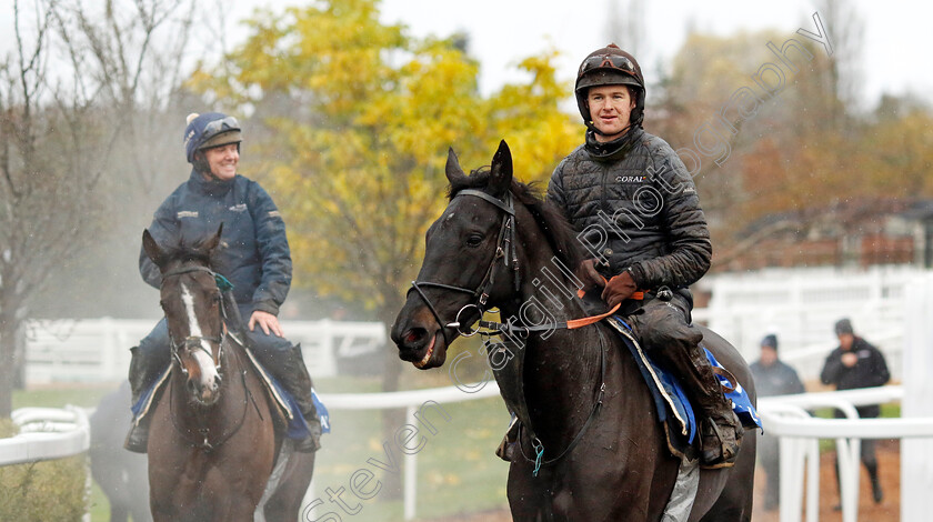 Strong-Leader-0001 
 STRONG LEADER 
Coral Gold Cup gallops morning Newbury 19 Nov 20234 - Pic Steven Cargill / Racingfotos.com