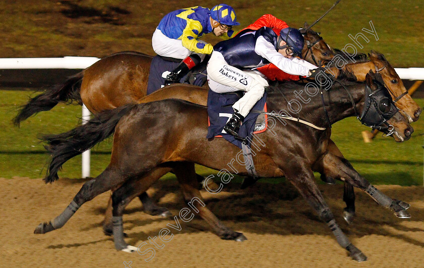 Kodiline-0003 
 KODILINE (nearside, Richard Kingscote) beats BILLYFAIRPLAY (centre) and ANGEL PALANAS (farside) in The Bombardier British Hopped Amber Beer Claiming Stakes
Wolverhampton 13 Jan 2020 - Pic Steven Cargill / Racingfotos.com