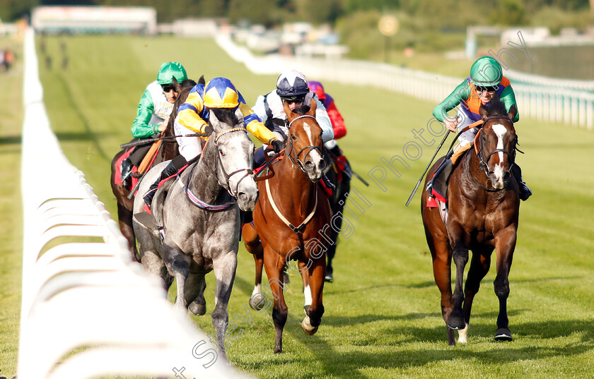 Flippa-The-Strippa-0005 
 FLIPPA THE STRIPPA ( left, Silvestre De Sousa) beats STRIVE FOR GLORY (right) in The Matchbook Betting Podcast National Stakes
Sandown 23 May 2019 - Pic Steven Cargill / Racingfotos.com