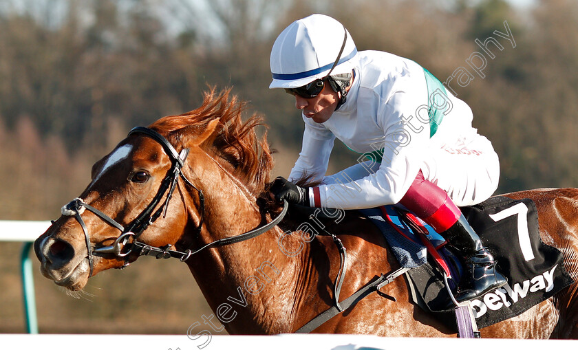 Wissahickon-0011 
 WISSAHICKON (Frankie Dettori) wins The Betway Winter Derby Stakes
Lingfield 23 Feb 2019 - Pic Steven Cargill / Racingfotos.com