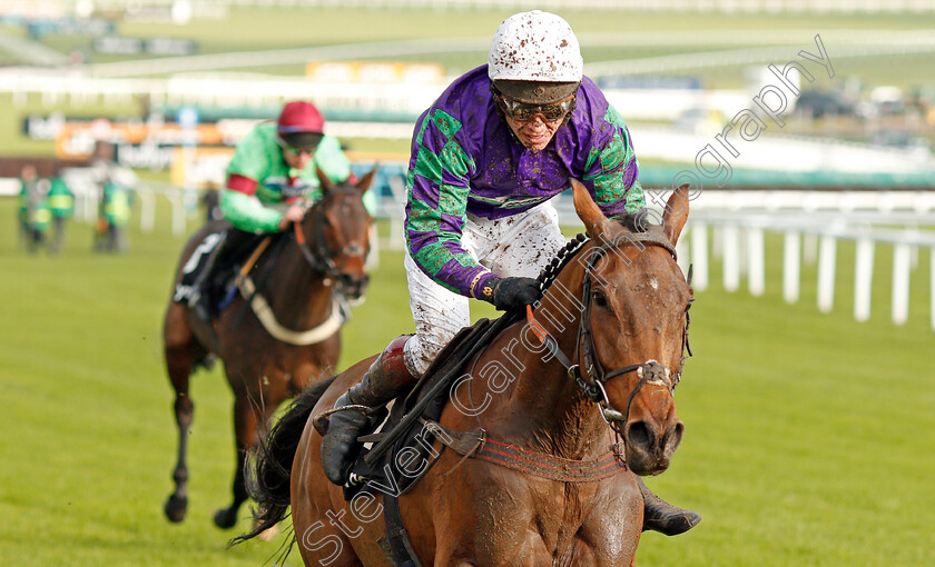 Thyme-Hill-0008 
 THYME HILL (Richard Johnson) wins The Ballymore Novices Hurdle
Cheltenham 16 Nov 2019 - Pic Steven Cargill / Racingfotos.com