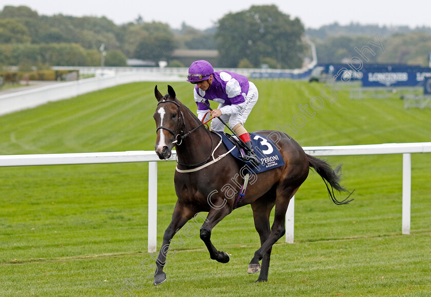 Suffrajet-0001 
 SUFFRAJET (Andrea Atzeni)
Ascot 30 Sep 2022 - Pic Steven Cargill / Racingfotos.com