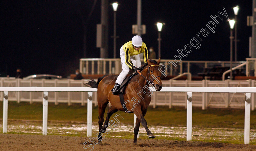 Father-Of-Jazz-0005 
 FATHER OF JAZZ (Callum Shepherd) wins The Racing Welfare Novice Stakes
Chelmsford 14 Jan 2021 - Pic Steven Cargill / Racingfotos.com