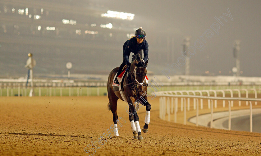 Life-Is-Good-0010 
 LIFE IS GOOD training for the Dubai World Cup
Meydan, Dubai, 22 Mar 2022 - Pic Steven Cargill / Racingfotos.com