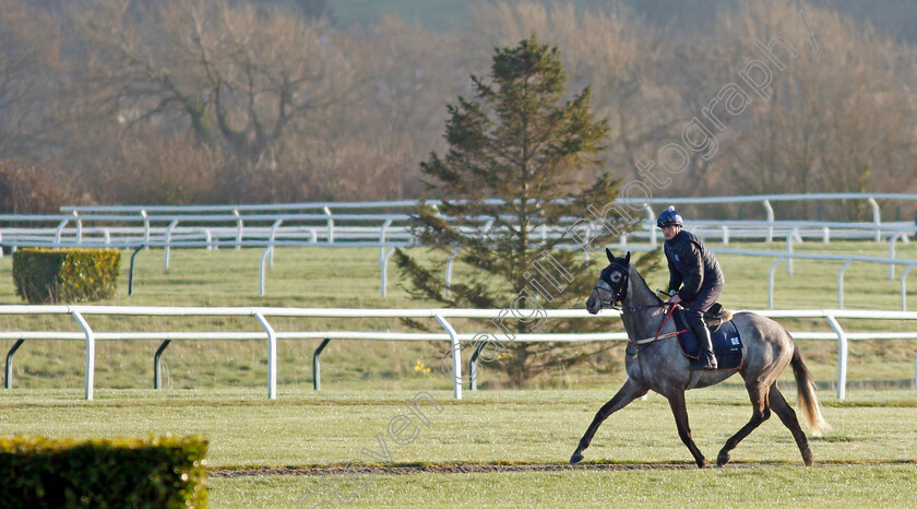 Riviere-d Etel-0001 
 RIVIERE D'ETEL exercising on the eve of the Cheltenham Festival
Cheltenham 14 Mar 2022 - Pic Steven Cargill / Racingfotos.com