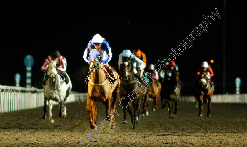 Rydan-0005 
 RYDAN (Adam Kirby) wins The 32red.com Handicap
Kempton 12 Dec 2018 - Pic Steven Cargill / Racingfotos.com