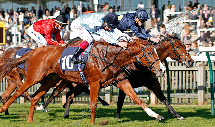 Timpani-0004 
 TIMPANI (left, Frankie Dettori) beats LEFT ALONE (right) in The Rewards4racing Fillies Novice Median Auction Stakes Div2 Newmarket 25 Oct 2017 - Pic Steven Cargill / Racingfotos.com