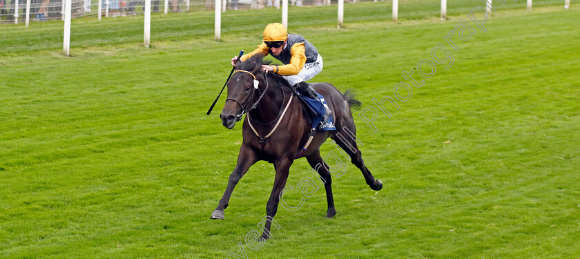 Indian-Run-0004 
 INDIAN RUN (Daniel Tudhope) wins The Tattersalls Acomb Stakes
York 23 Aug 2023 - Pic Steven Cargill / Racingfotos.com