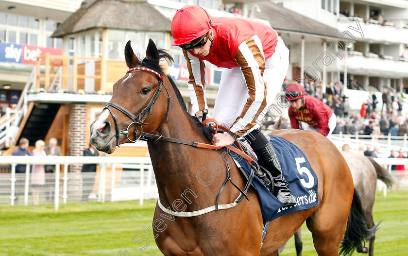 Give-And-Take-0001 
 GIVE AND TAKE (James Doyle) winner of The Tattersalls Musidora Stakes
York 16 May 2018 - Pic Steven Cargill / Racingfotos.com