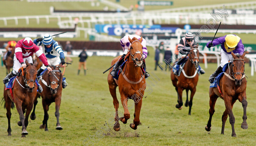 Bleu-Berry-0002 
 BLEU BERRY (right, Mark Walsh) beats TOPOFTHEGAME (centre) and BARRA (left) in The Coral Cup Cheltenham 14 Mar 2018 - Pic Steven Cargill / Racingfotos.com