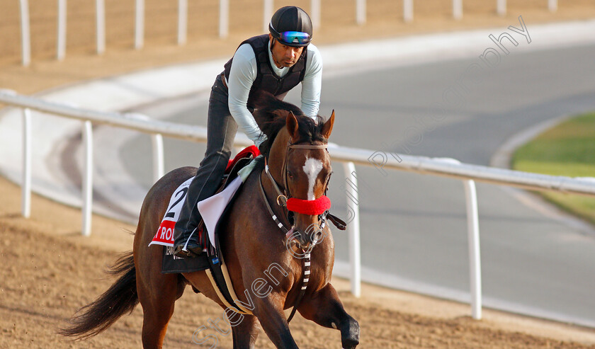 Hot-Rod-Charlie-0002 
 HOT ROD CHARLIE training for the Dubai World Cup
Meydan, Dubai, 23 Mar 2022 - Pic Steven Cargill / Racingfotos.com