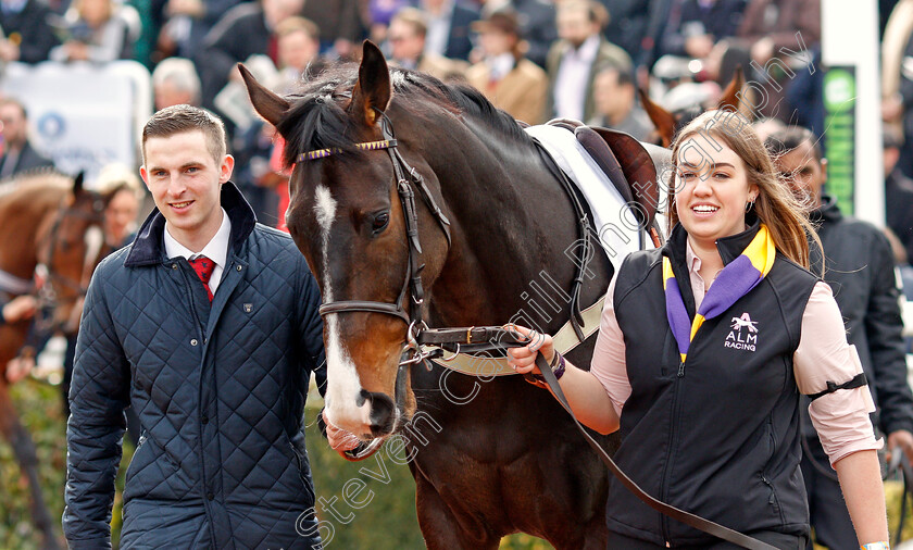 Kalashnikov-0001 
 KALASHNIKOV Cheltenham 13 Mar 2018 - Pic Steven Cargill / Racingfotos.com