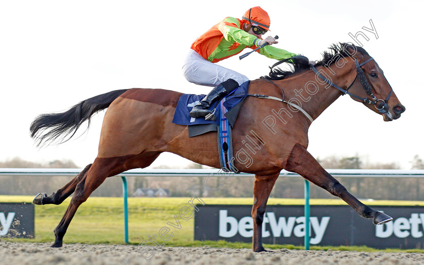 Agent-Of-Fortune-0002 
 AGENT OF FORTUNE (Hector Crouch) wins The Bombardier March To Your Own Drum Classified Stakes
Lingfield 9 Dec 2019 - Pic Steven Cargill / Racingfotos.com