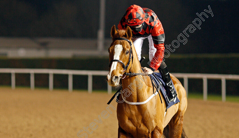 Society-Red-0001 
 SOCIETY RED (Barry McHugh)
Wolverhampton 5 Dec 2020 - Pic Steven Cargill / Racingfotos.com