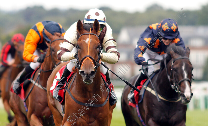 Bring-Us-Paradise-0006 
 BRING US PARADISE (Cieren Fallon) wins The Molson Coors Handicap
Sandown 25 Jul 2019 - Pic Steven Cargill / Racingfotos.com