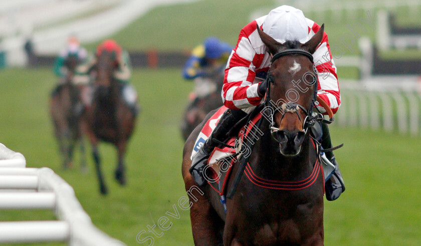 Hang-In-There-0002 
 HANG IN THERE (Adam Wedge) wins The Sky Bet Supreme Trial Novices Hurdle
Cheltenham 17 Nov 2019 - Pic Steven Cargill / Racingfotos.com