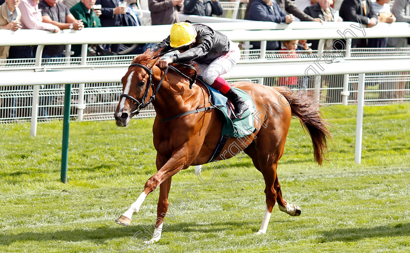 Stradivarius-0006 
 STRADIVARIUS (Frankie Dettori) wins The Weatherbys Hamilton Lonsdale Cup
York 24 Aug 2018 - Pic Steven Cargill / Racingfotos.com