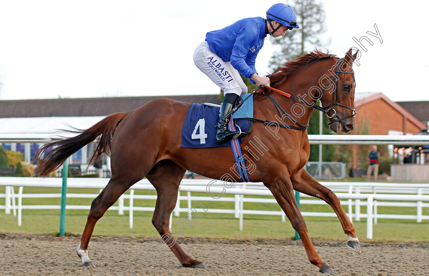 Dubai-One-0001 
 DUBAI ONE (Oisin Murphy) winner of The Betway Sprint Handicap Lingfield 30 Dec 2017 - Pic Steven Cargill / Racingfotos.com