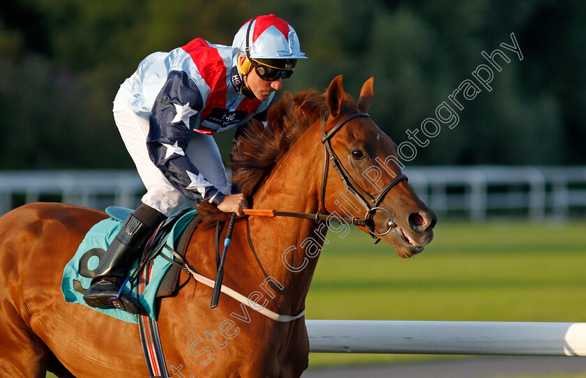 Pirouette-Queen-0001 
 PIROUETTE QUEEN (John Egan)
Kempton 4 Aug 2021 - Pic Steven Cargill / Racingfotos.com