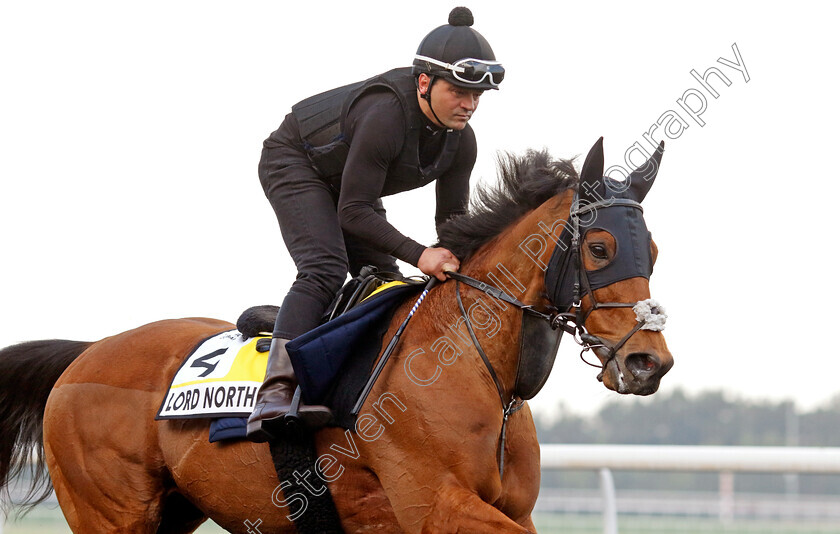 Lord-North-0001 
 LORD NORTH training for the Dubai Turf
Meydan, Dubai, 21 Mar 2023 - Pic Steven Cargill / Racingfotos.com