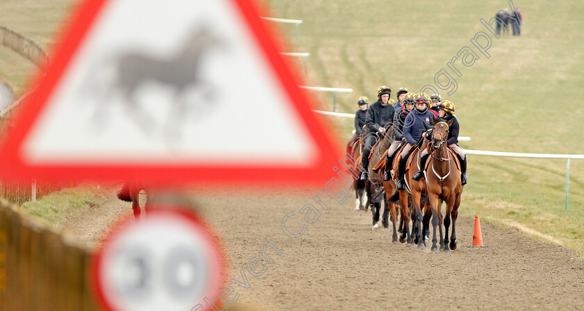 Newmarket-0014 
 A string of racehorses from Sir Mark Prescott walk back to their stables after exercising on Warren Hill Newmarket 23 Mar 2018 - Pic Steven Cargill / Racingfotos.com